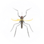 Mosquito Pest Control for Sevierville TN and Surrounding Areas