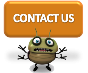 Contact All About Bugs