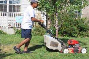 Pest Control Tips for Pet Owners