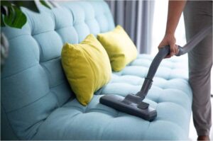 Pest Control Tips for Pet Owners