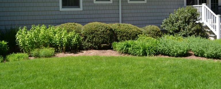 Springtime Pest Control Tip
