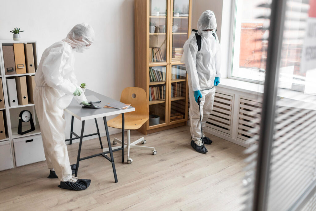Pest Proofing