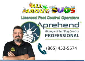 Aprehend Bed Bug Prevention and Elimination Experts, All About Bugs