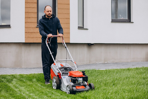 Manage Summer Pest Risks