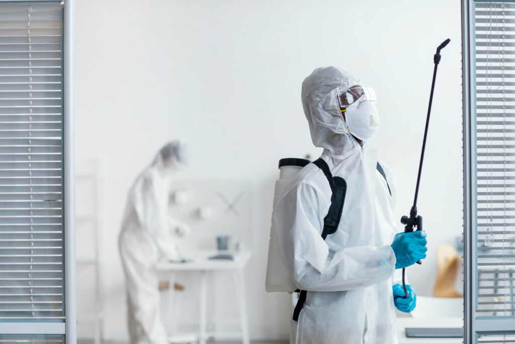 Pest Control Solutions