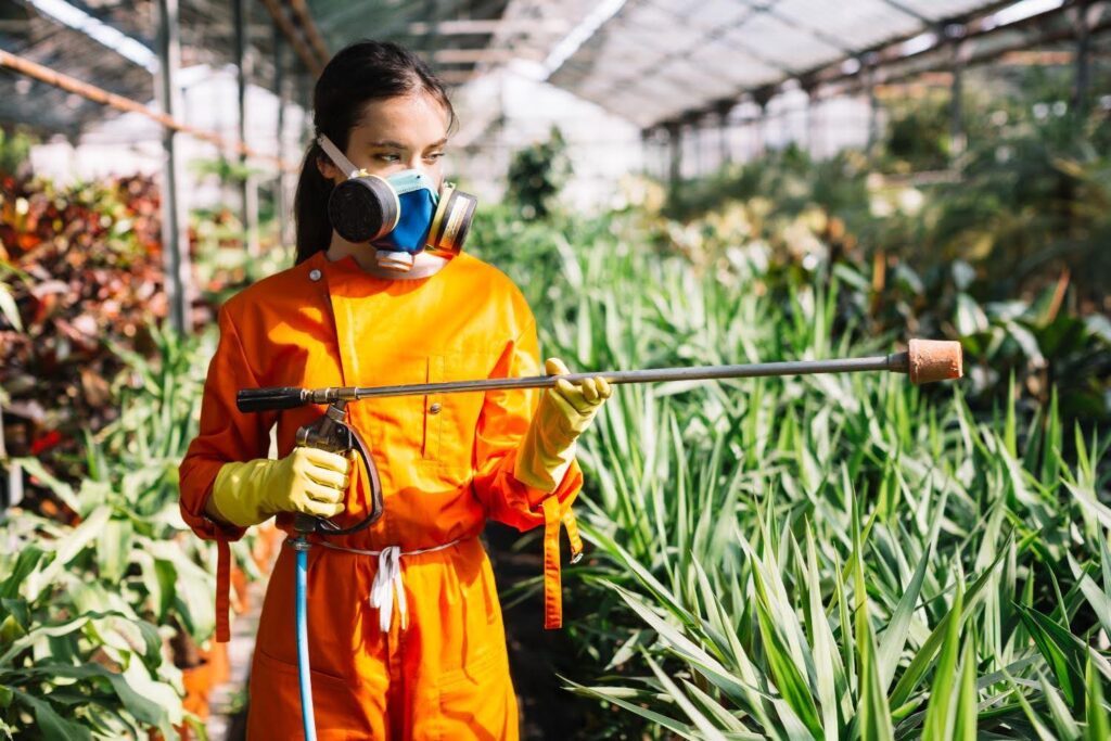 avoid Pest Problems