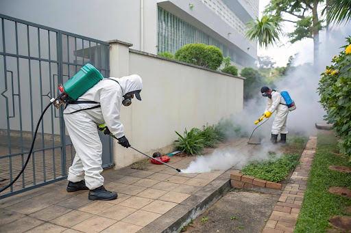 Control Mosquitoes