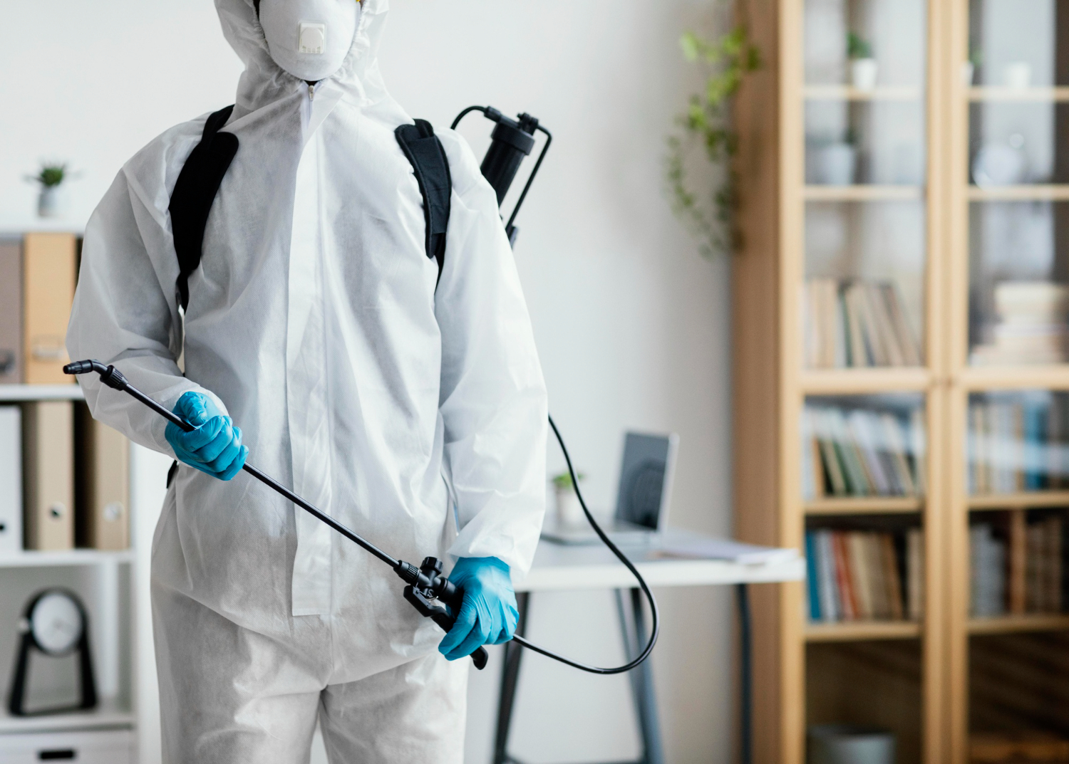 Importance of Regular Pest Inspections for Businesses