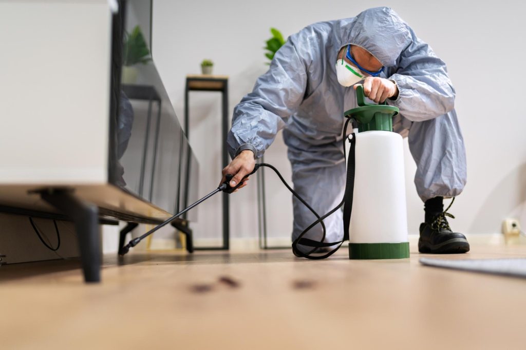 professional pest control