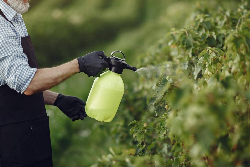 seasonal pest control