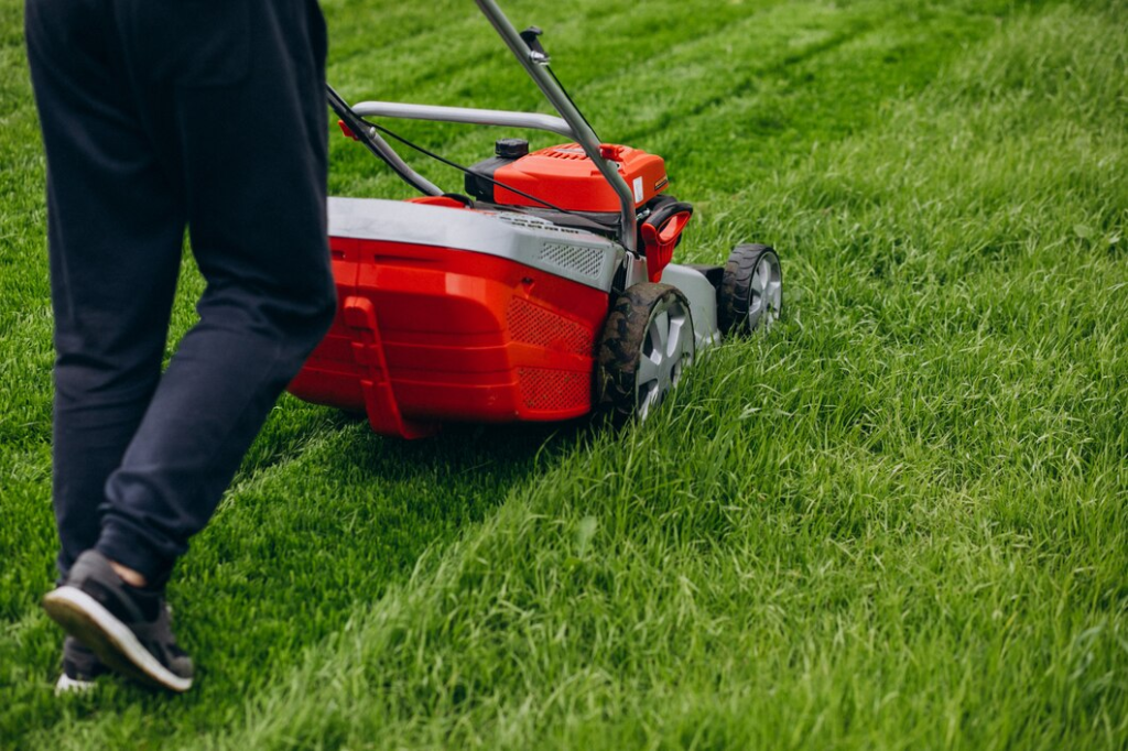 pest-free lawn