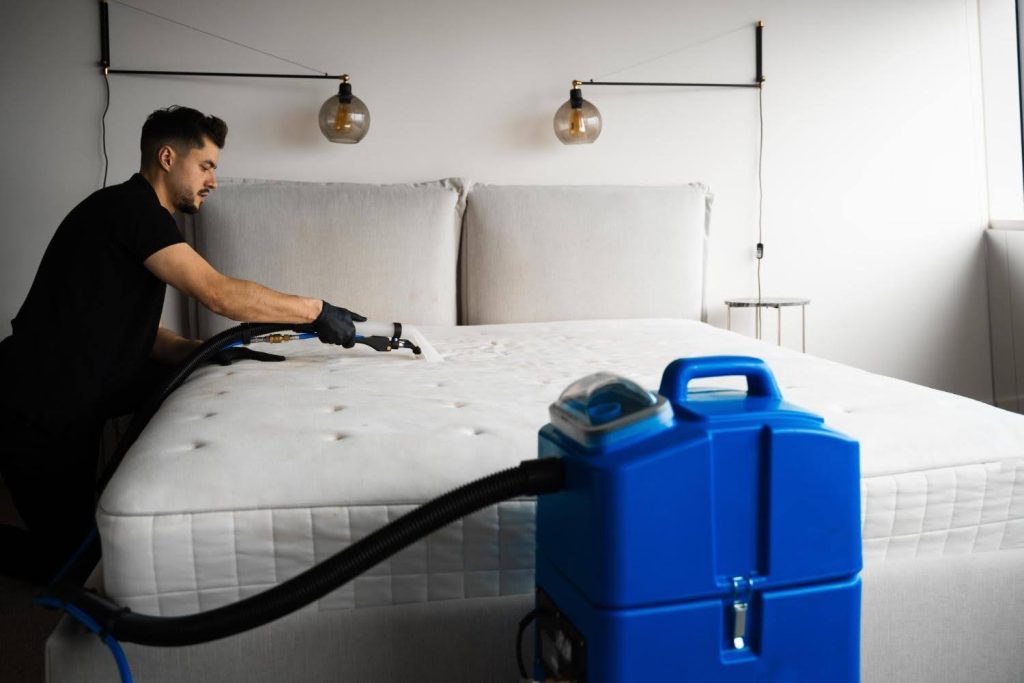 bed bugs management