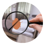 Specialty Pest Solutions