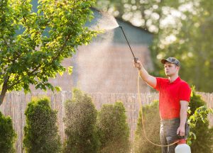 fall pest control