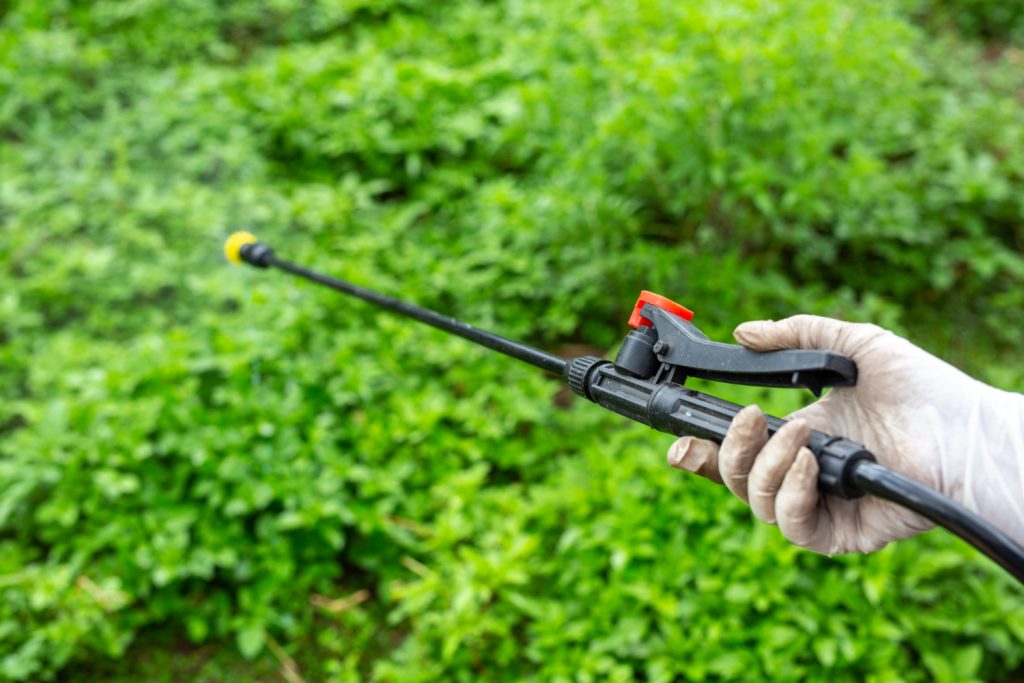Lawn Pest Control