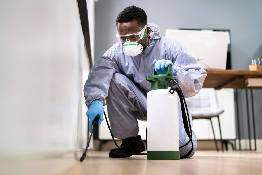 Pest Control Services