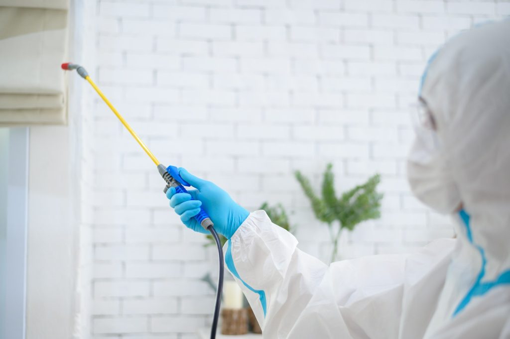 Pest Control Experts