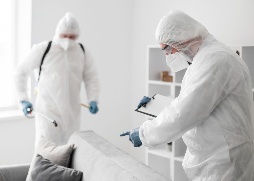 bed bugs pest control