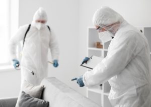 bed bugs pest control