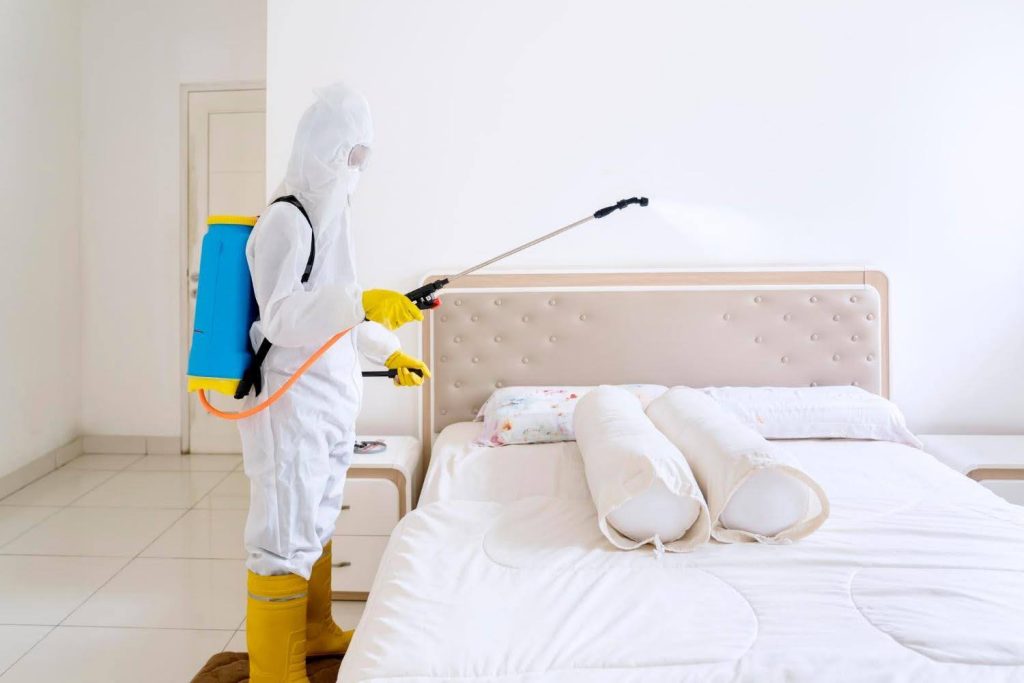 Bed bug exterminator
