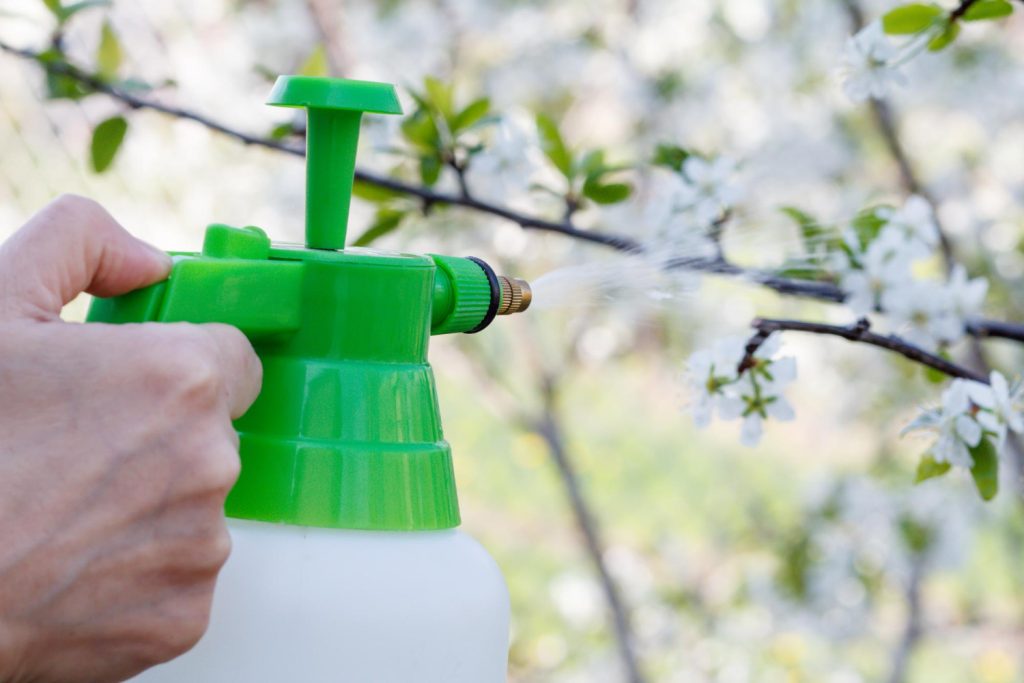 spring pest control