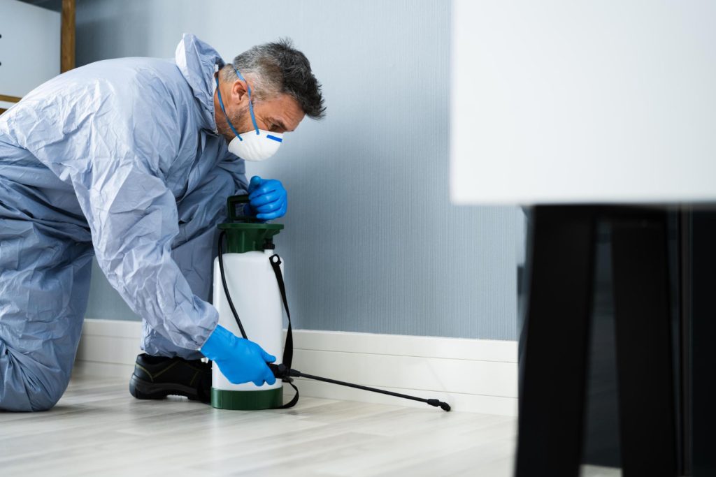 pest control