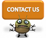 All About Bugs Pest & Termite Control