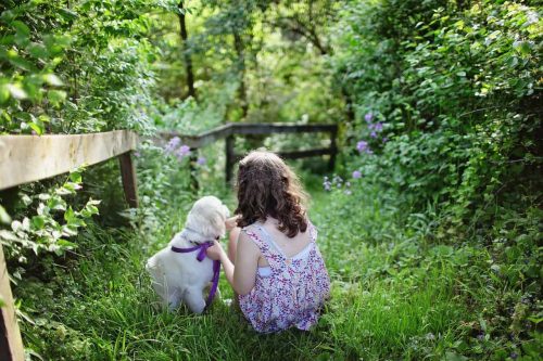 Pest Control Tips for Pet Owners