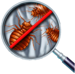 Aprehend Bed Bug Prevention and Elimination Experts, All About Bugs