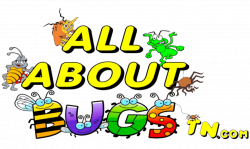 All About Bugs TN Pest & Termite Control